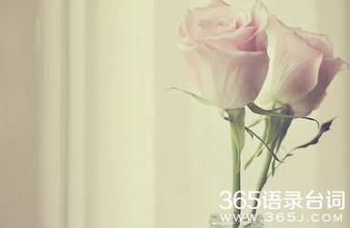 母爱是一张饱满的弓