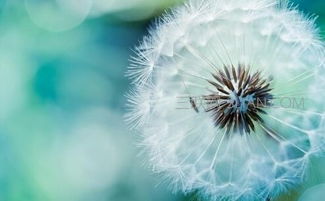 感恩励志 每一位母亲都值得被尊重