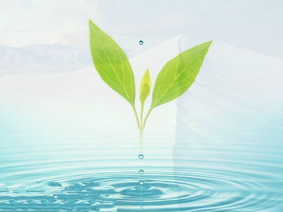 处事计策与励志人生