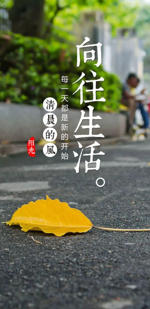 12月23日早安正能量 用励志心情开启全新一天