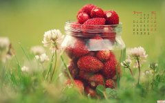 逆风而行 男人的担当与力量